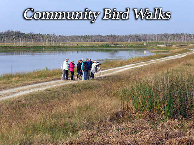 Community Bird Walks